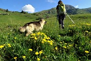 Ai Piani d’Artavaggio con anello Sodadura- Cima di Piazzo da Bonetto il 1 giugno 2019 - FOTOGALLERY